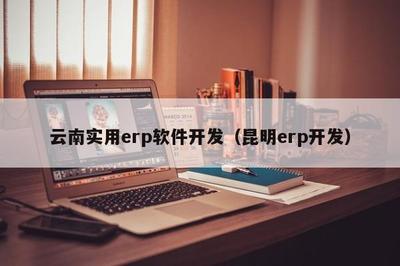 云南實(shí)用ERP軟件開發(fā) 聚焦昆明本地化需求，推動企業(yè)數(shù)字化轉(zhuǎn)型